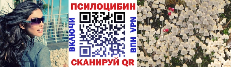 Галлюциногенные грибы Magic Shrooms  Магадан 